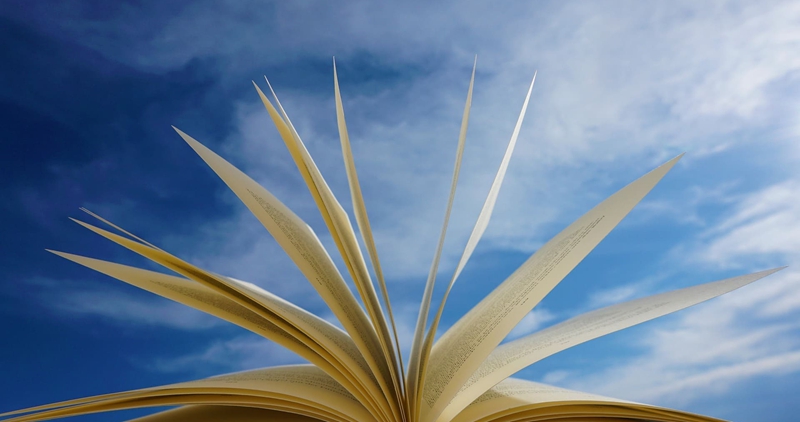 19. 客戶(hù)服務(wù)文件.jpg